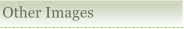 Parish Register Transcripts